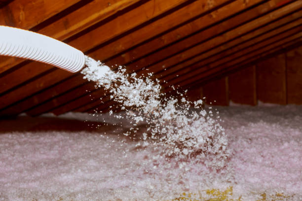 Best Affordable Insulation Services  in Grapeland, TX