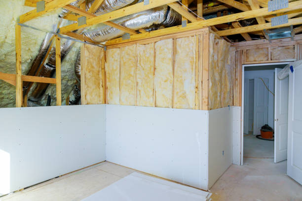 Best Insulation Contractor Near Me  in Grapeland, TX