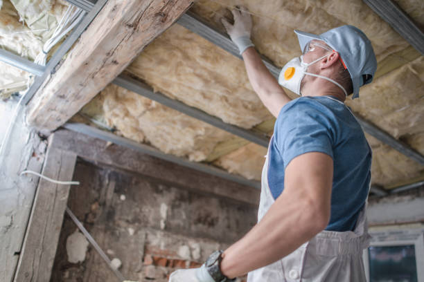 Best Home Insulation Services  in Grapeland, TX