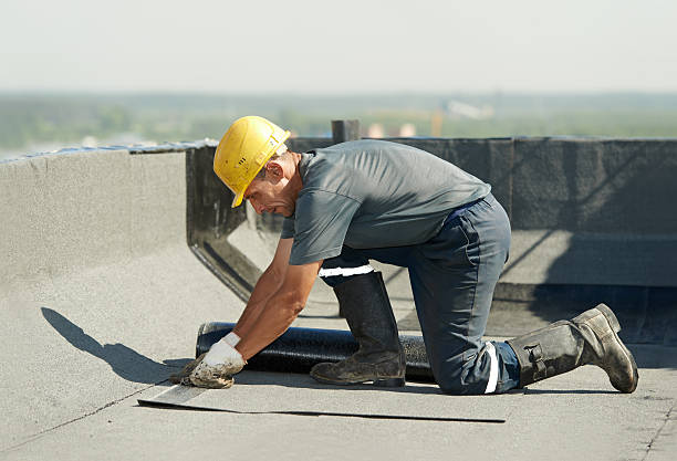 Best Residential Insulation Services  in Grapeland, TX