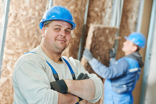 Best Professional Insulation Contractor  in Grapeland, TX